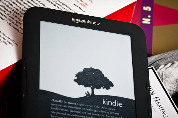 COMMENT METTRE UN LIVRE PDF SUR KINDLE visual data 7